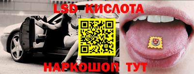 шишки Будённовск