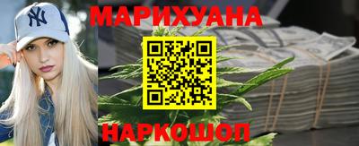 шишки Будённовск