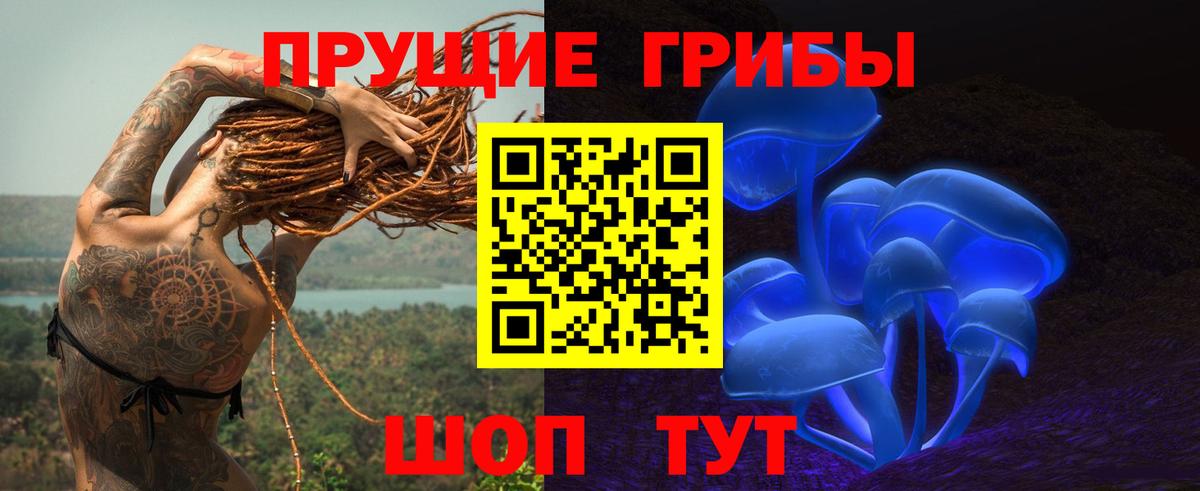 Псилоцибиновые грибы прущие грибы  Вход с VPN  Сергиев Посад 