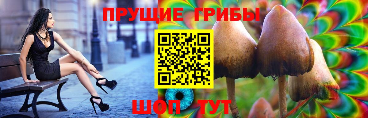 Псилоцибиновые грибы GOLDEN TEACHER Сергиев Посад